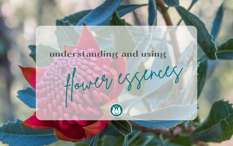 Understanding_and_Using_Flower_Essences