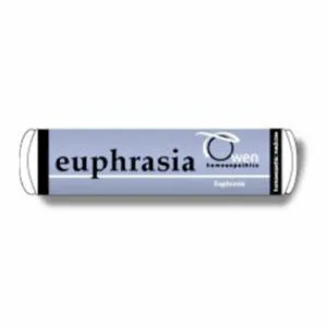 Euphrasia