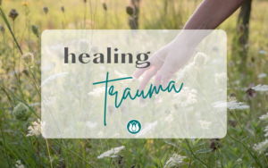 Healing Trauma. Practical support for naturally healing from trauma. Flower essences for trauma.