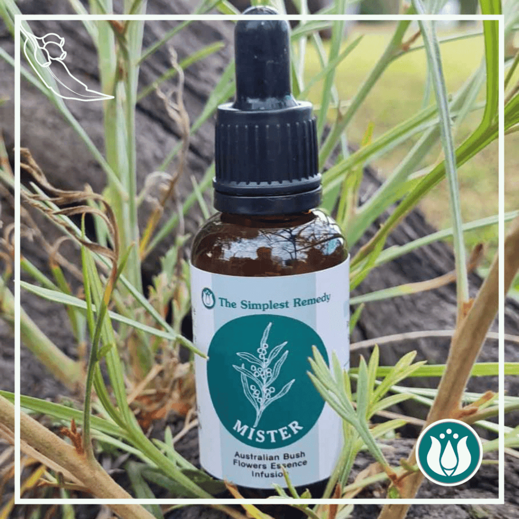 30ml bottle of Mister Flower Essence by The Simplest Remedy