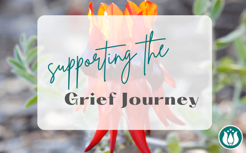 Supporting The Grief Journey with Flower Essences and Homeopathy