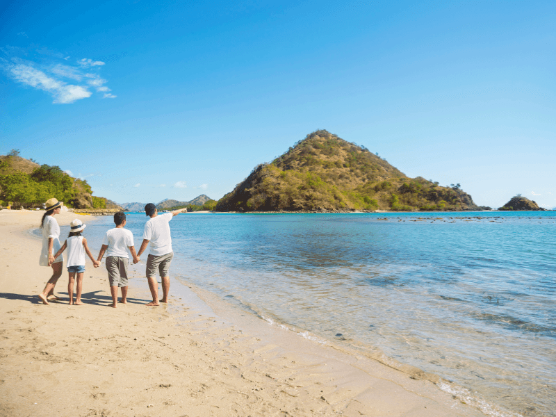 Travel with Health in Mind. Homeopathy and Flower essences for family travelling and holidays