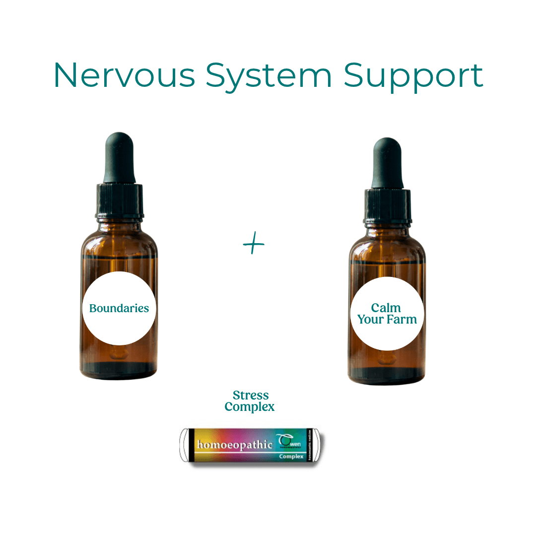 Nervous System Support Bundle